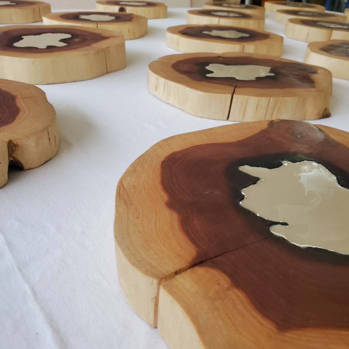 log slices with whote epoxy centers